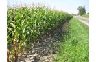 Property photo 9 - 40 Acres Offered in 3 Tracts